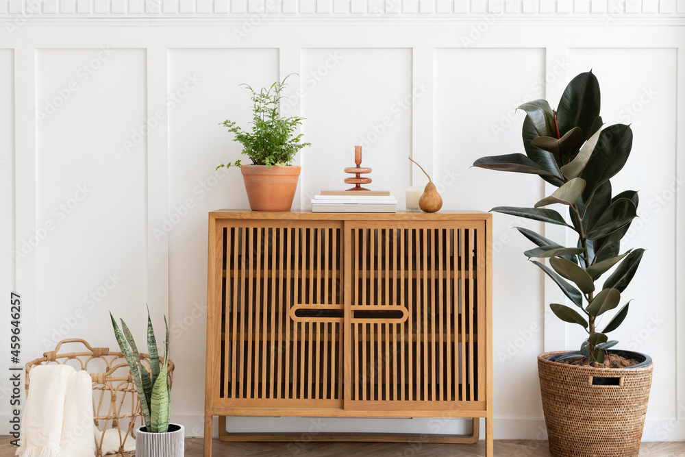 Scandinavian vintage wood cabinet with houseplants