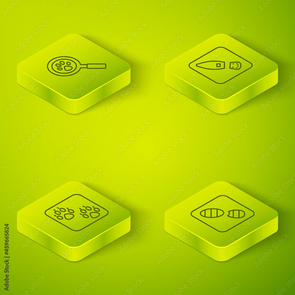 Set Isometric line Human footprints shoes, Paw, and search icon. Vector