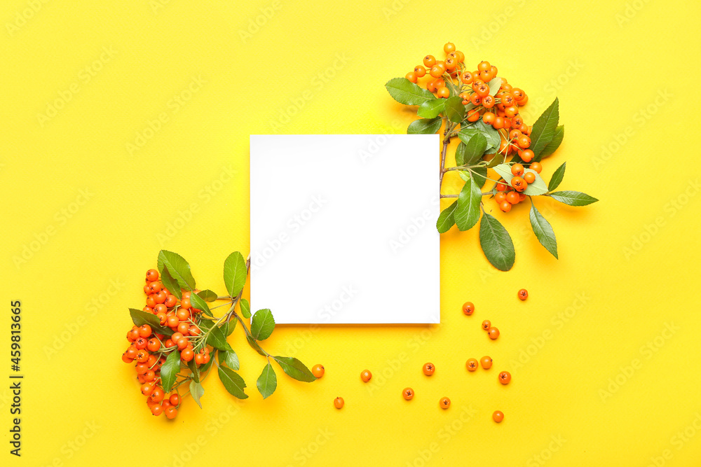 Composition with rowan berries and blank card on yellow background