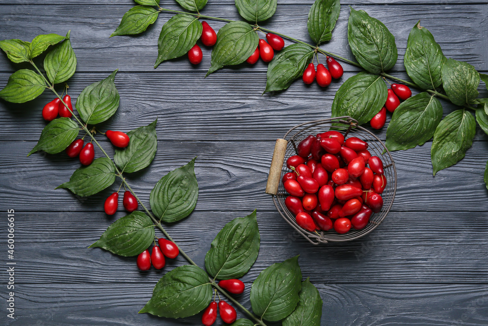 Branches and basket with fresh dogwood berries on black wooden background