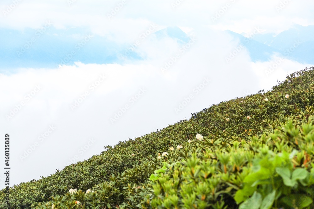 美丽的山脉和美丽的天空的自然风光