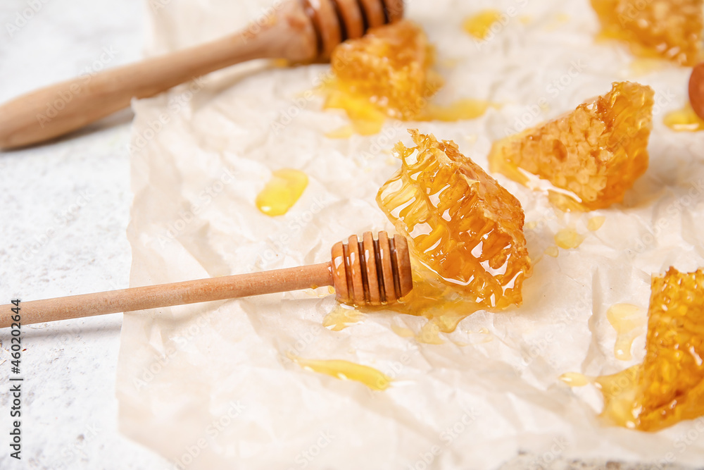 Parchment with honey combs on light background