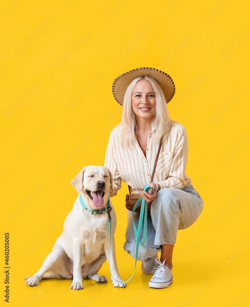 Stylish mature woman with cute Labrador dog on yellow background