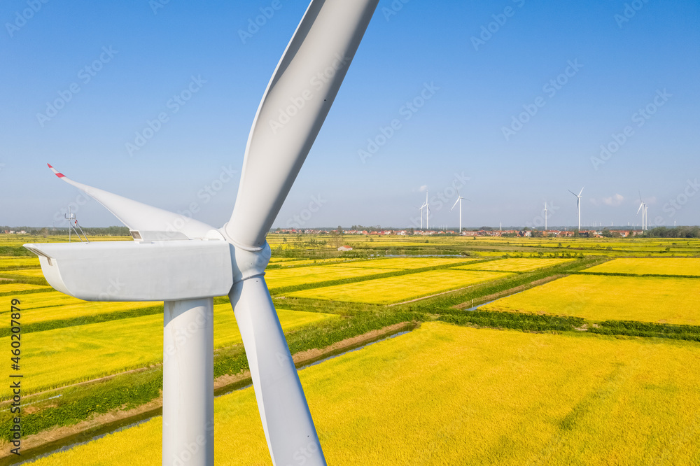 wind turbine closeup in autumn paddy field