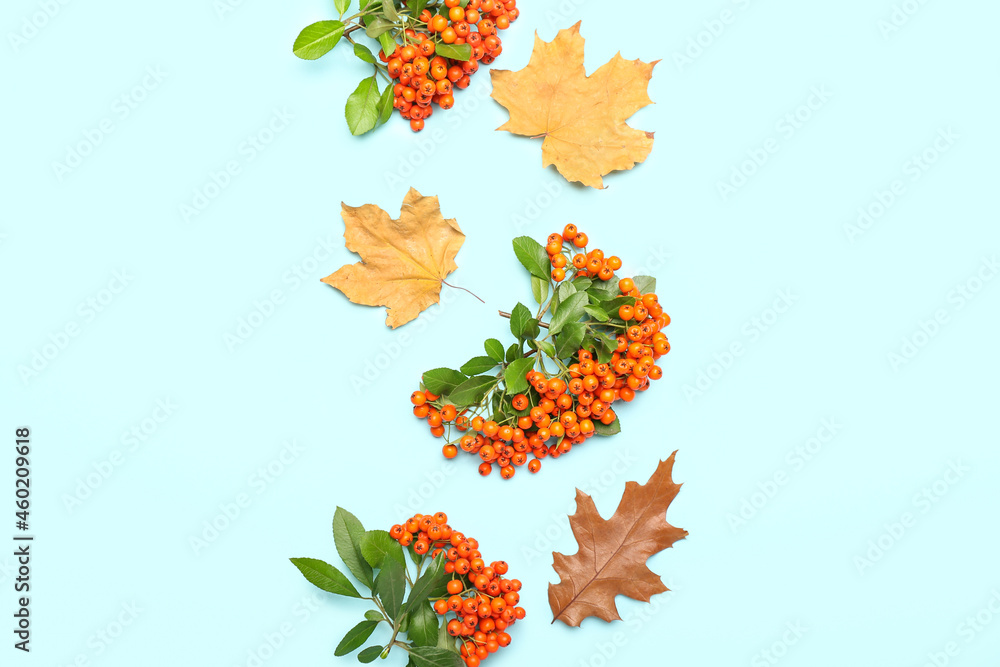 Ripe rowan berries and fallen leaves on color background