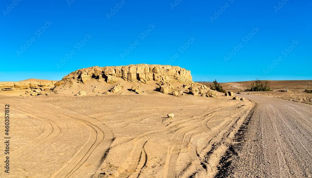 Whale fossils in the Ocucaje desert, Peru