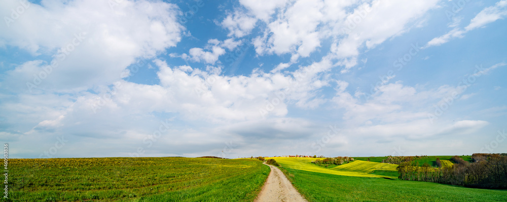 Panorama of a green field with white clouds in the sky. Summer rural landscape on a sunny day