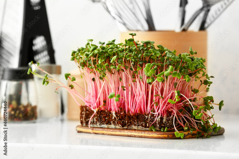 Wooden board with fresh micro green on table in kitchen