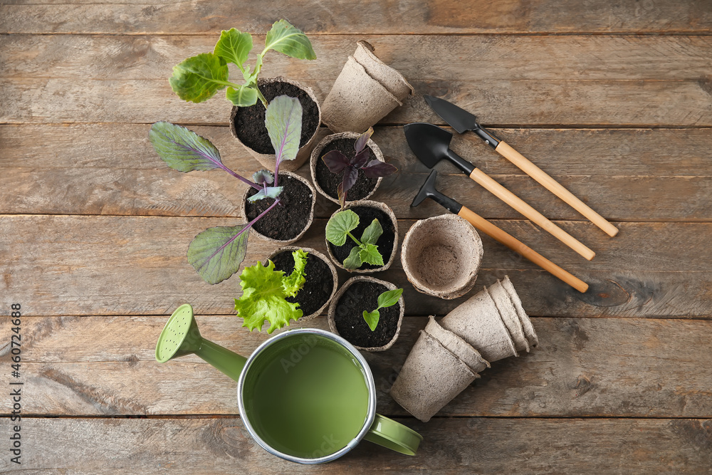 Plants seedlings in peat pots and gardening tools on wooden background