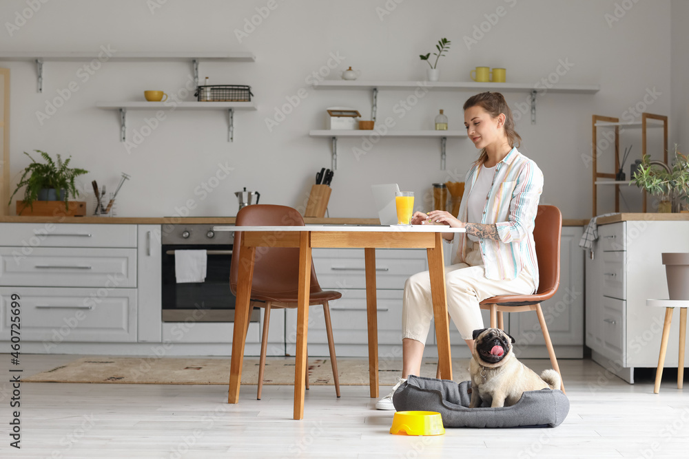 Young woman with cute pug dog using laptop in kitchen