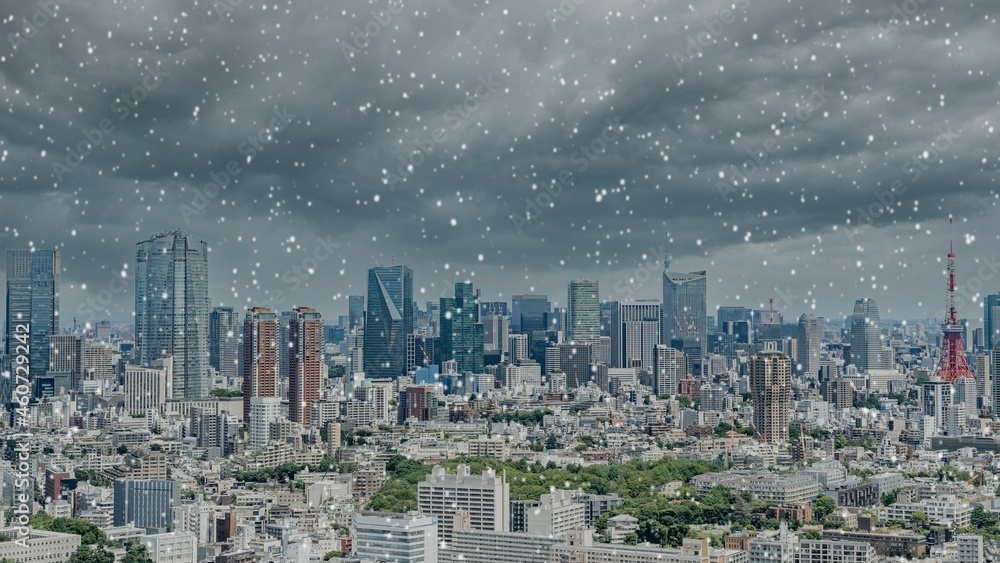 東京　雪