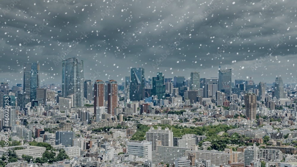 東京　雪