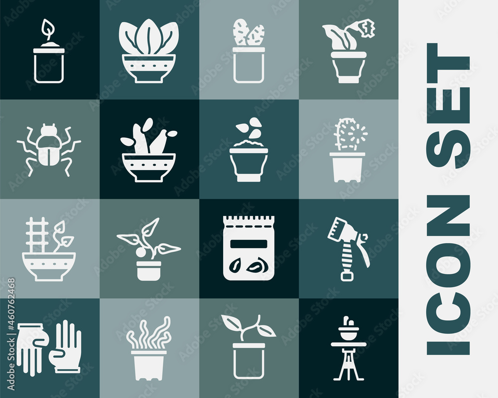 Set Plant in pot on table, Water spray bottle, Cactus peyote, Beetle bug, Sprout and Seeds bowl icon