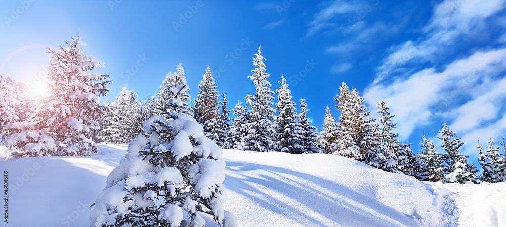 塔特拉山脉雪景中的冬日霜冻晴朗。神奇的雪树和小路。快乐N