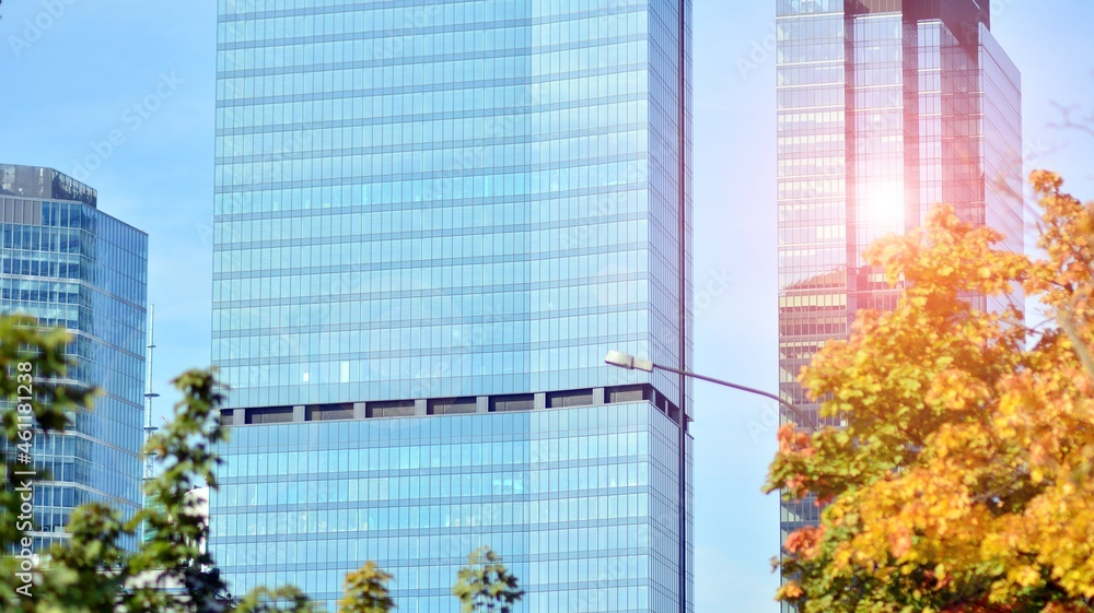 Inspiring view of the modern city. The wall of the building of glass and metal against trees. Corpor