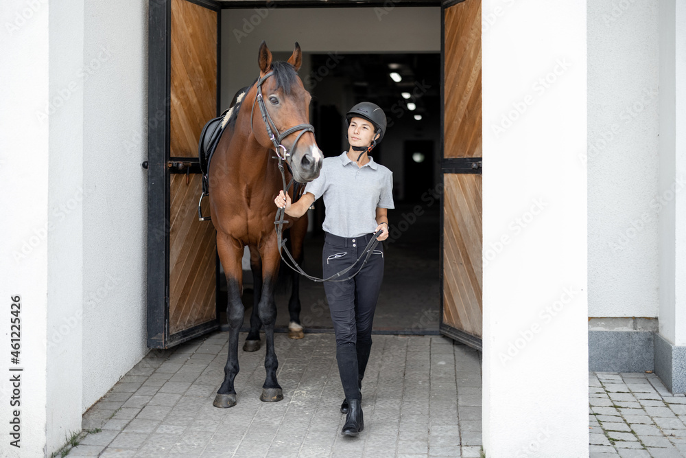 Female horseman going with her brown Thoroughbred horse near stable. Concept of animal care. Rural r