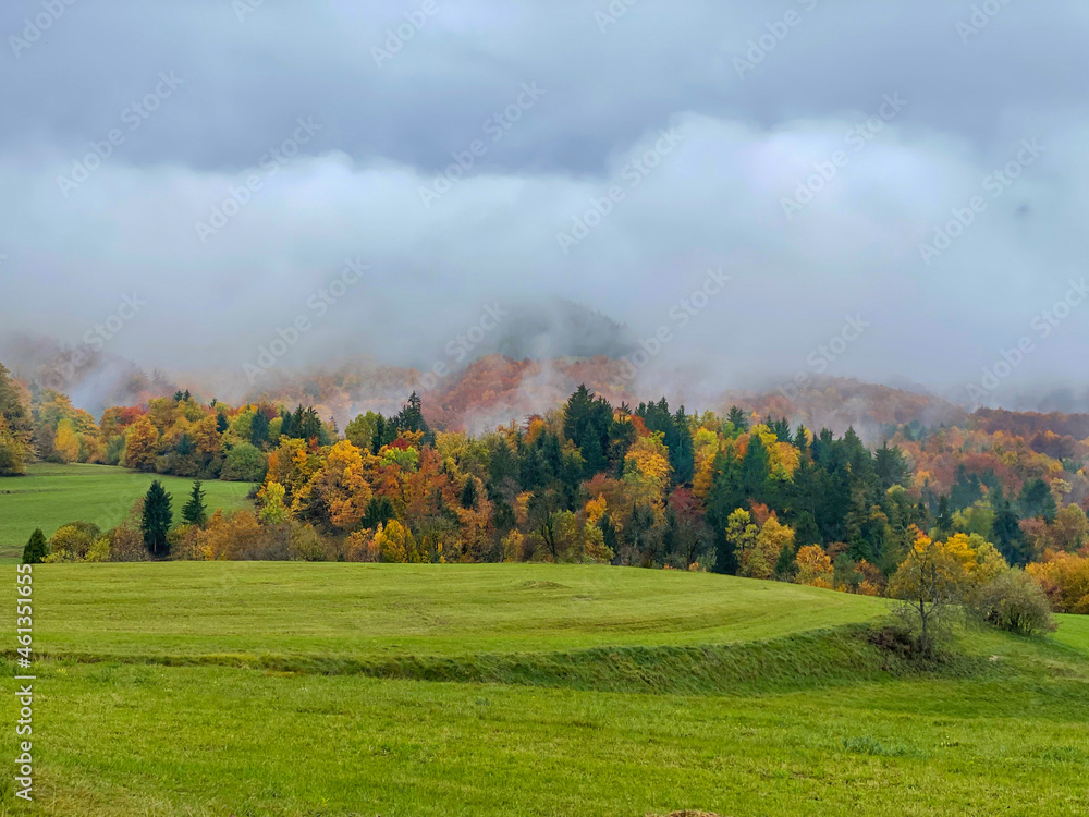 A thick layer of mist covers the idyllic autumn colored forest and meadow.