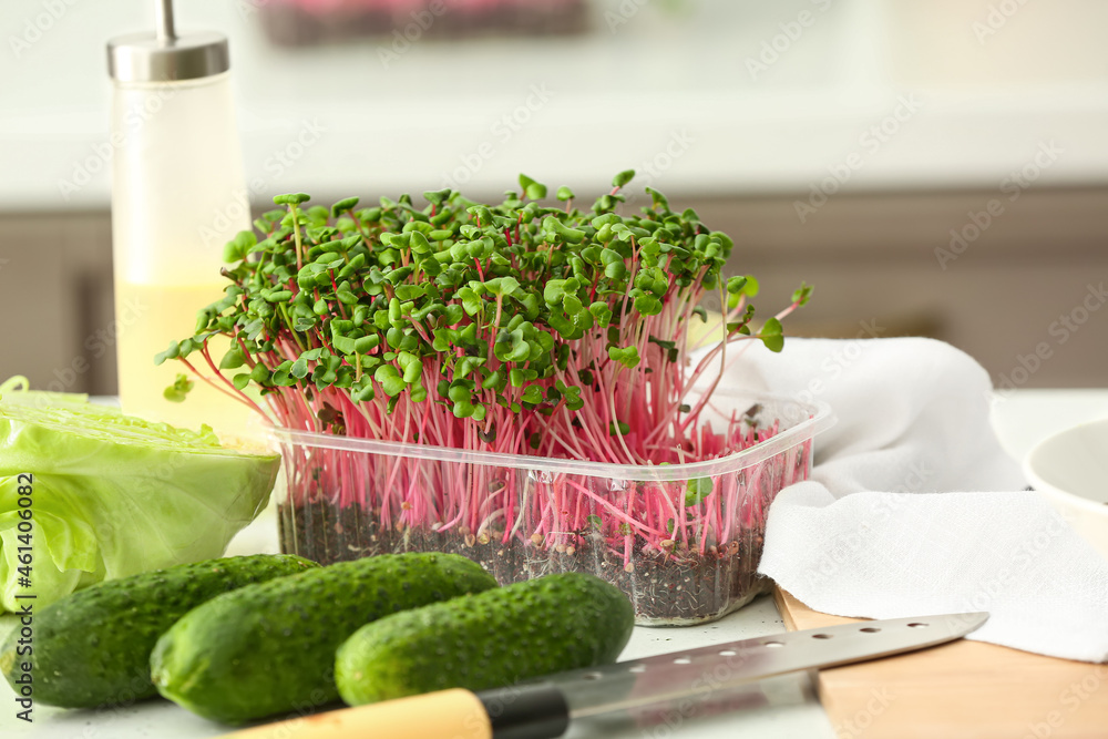 Plastic container with fresh organic microgreen and cucumbers on table