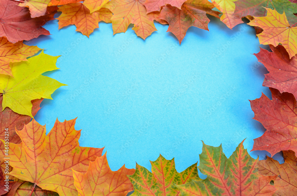 frame of autumn leaves with a blue background