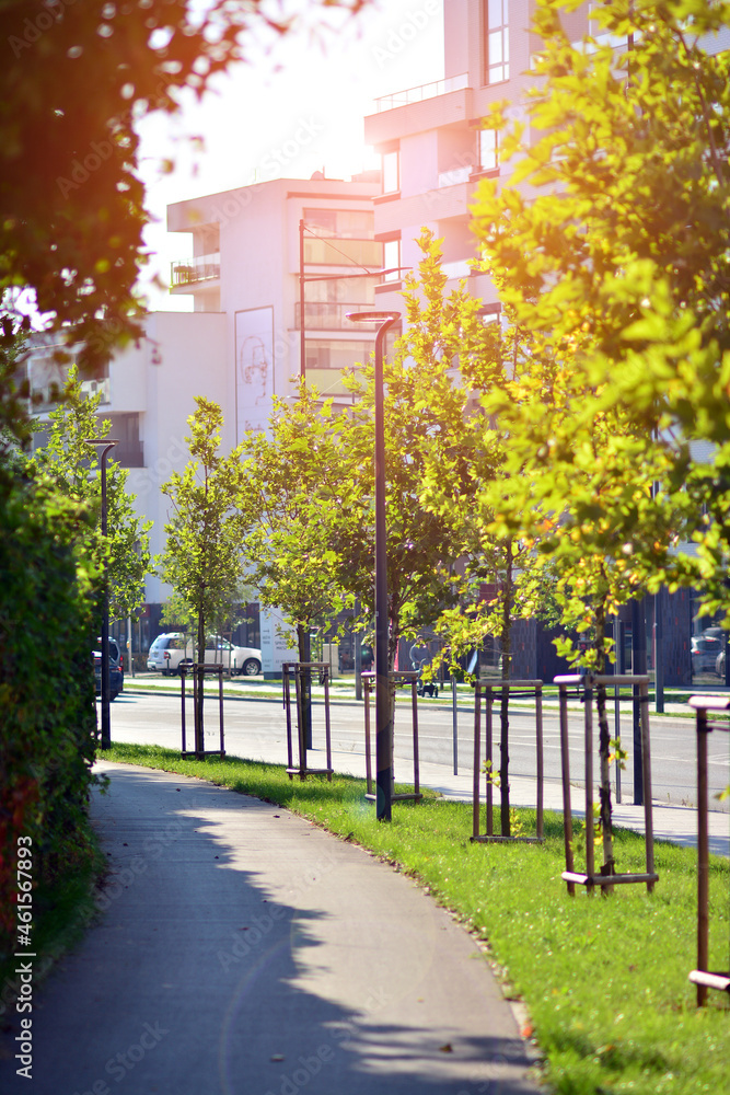 Inspiring view of the modern city. The wall of the apartment building   against trees. Apartment con