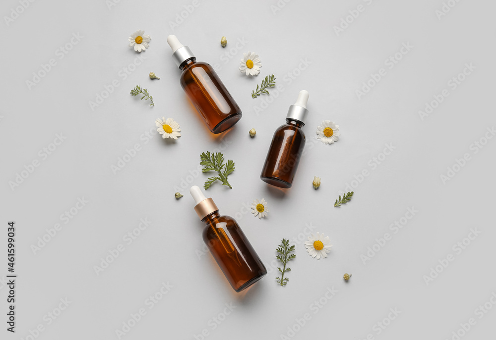 Composition with bottles of essential oil and chamomile flowers on grey background