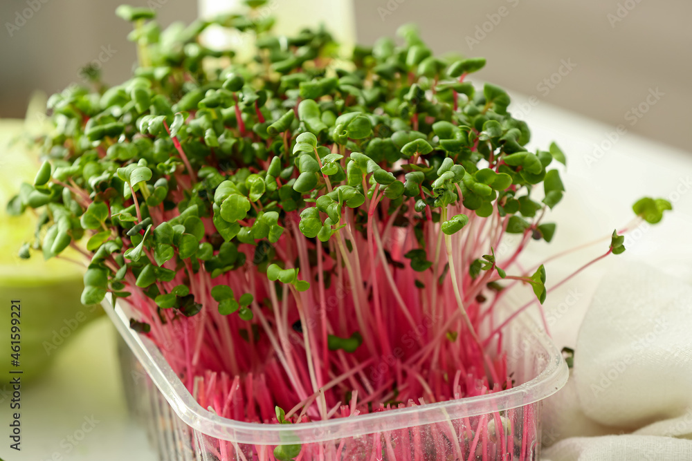 Plastic container with fresh organic microgreen, closeup