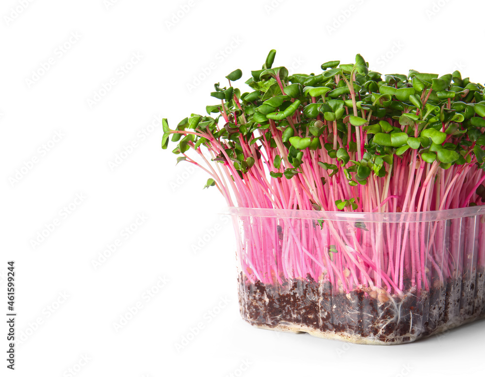 Plastic container with fresh micro green isolated on white background, closeup