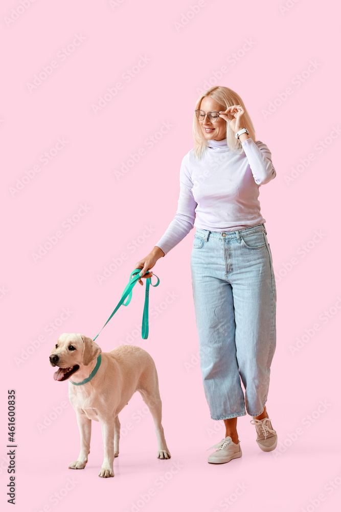 Mature woman with cute Labrador dog walking on pink background