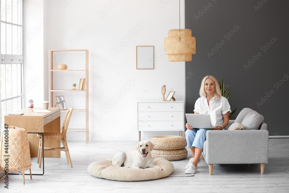 Mature woman with laptop and cute Labrador dog at home