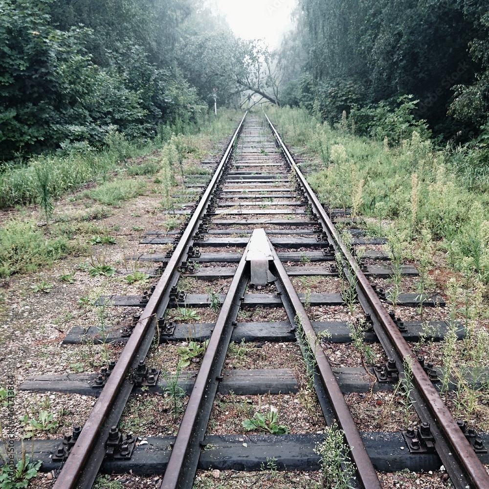 森林中的铁路