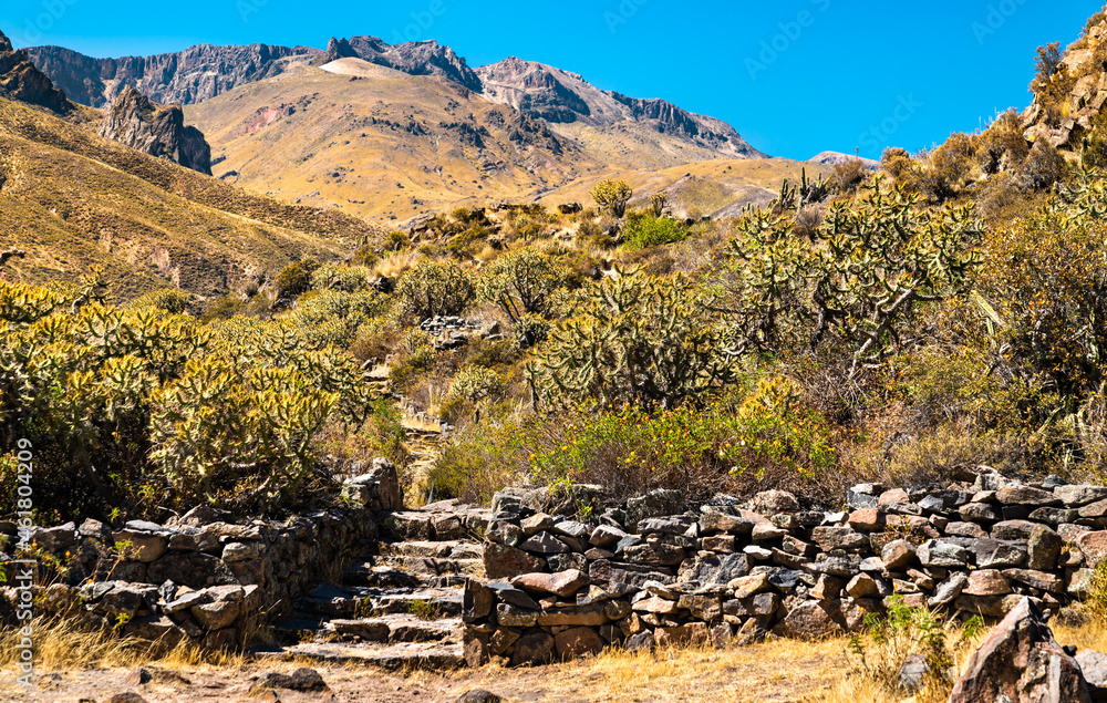 Pre-Incan ruins at Chivay in Peru