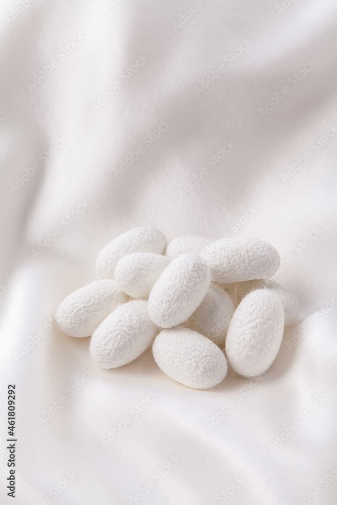 silk fiber background with silk cocoons.