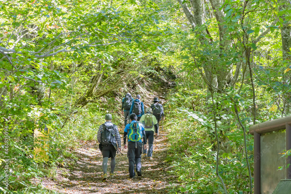 新緑のブナの森の中の登山道