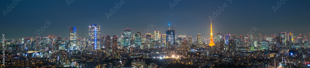 東京の夜景　パノラマ