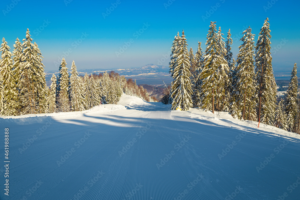 罗马尼亚喀尔巴阡山脉波亚纳·布拉索夫森林中的空滑雪坡