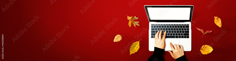 Autumn leaves with person using a laptop computer from above