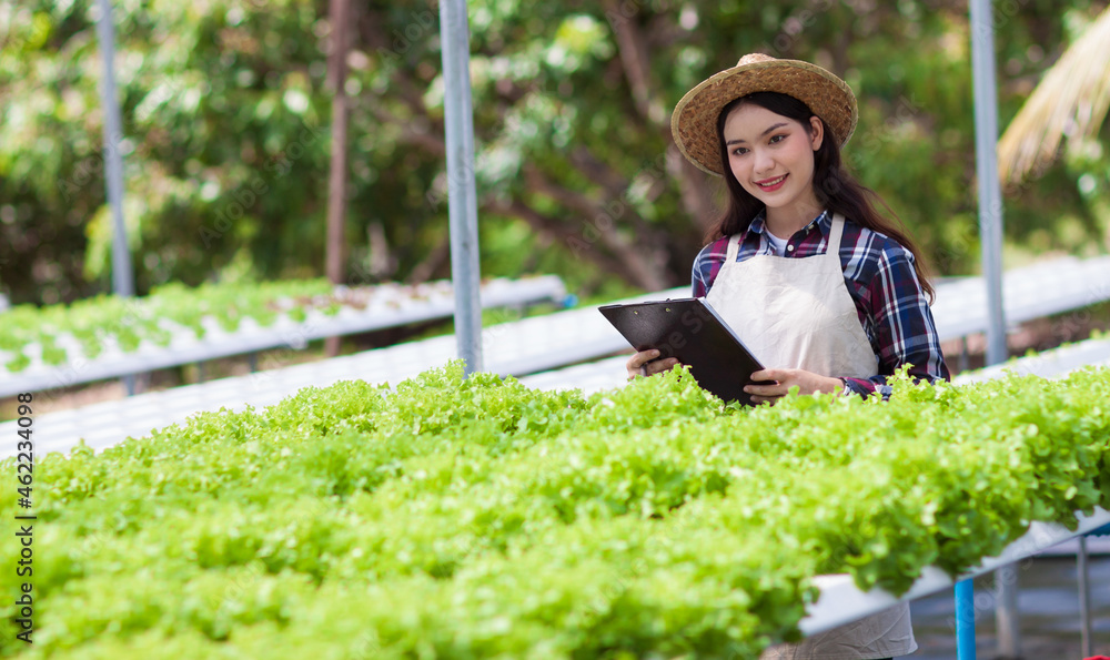 Young farmers work in the vegetable garden and check the quality of the produce.