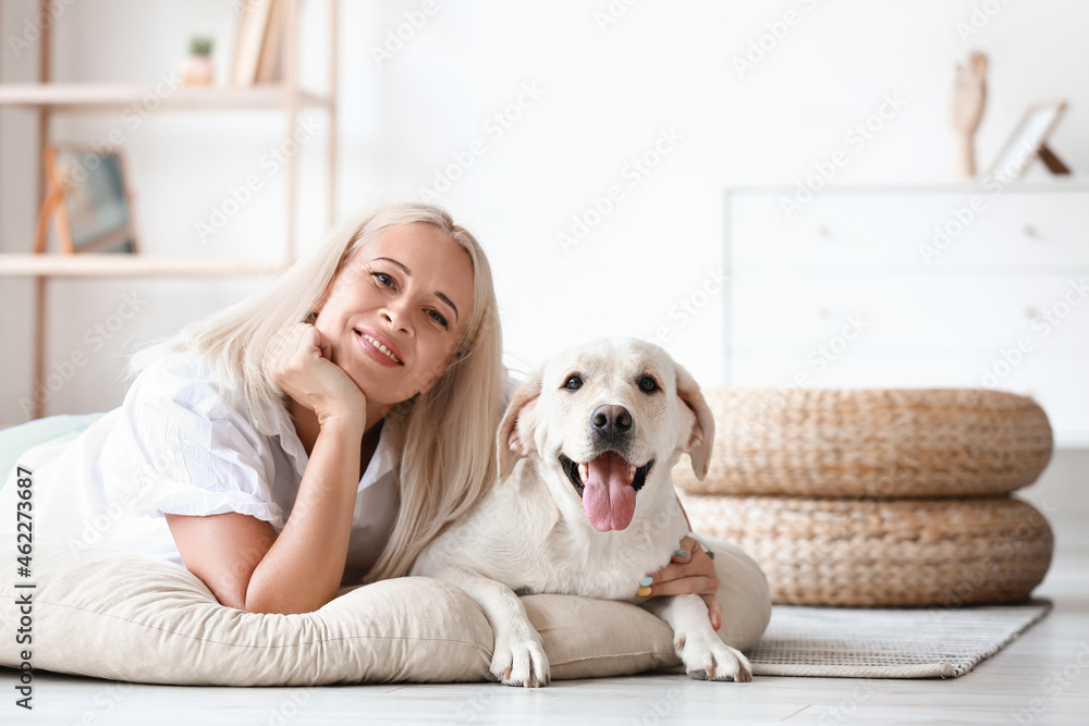 家里宠物床上躺着可爱拉布拉多犬的成熟女人