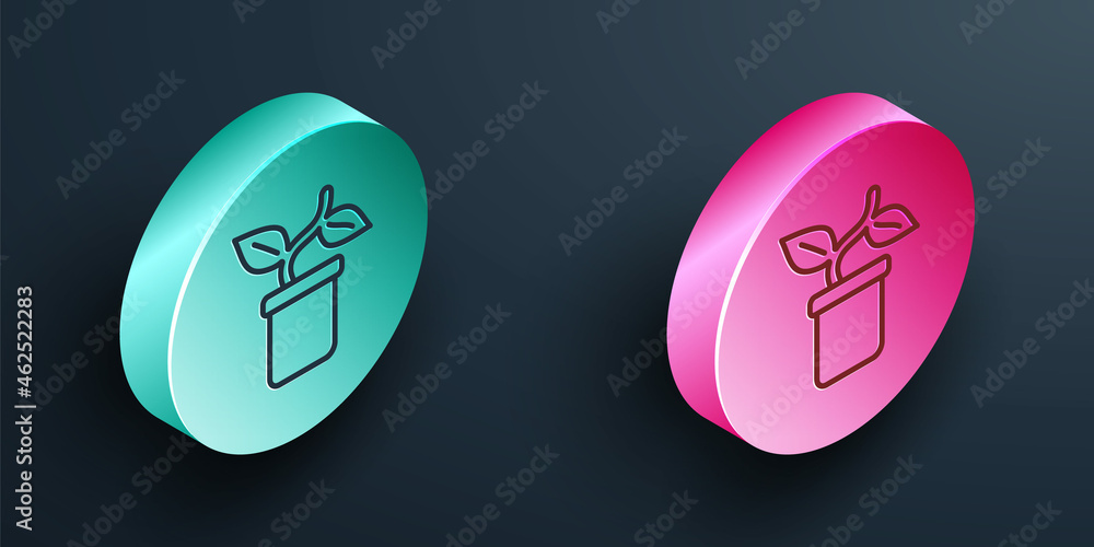 Isometric line Plant in pot icon isolated on black background. Plant growing in a pot. Potted plant 