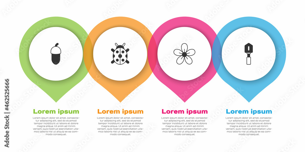设置橡子、瓢虫、花朵和铲子。商业信息图模板。矢量