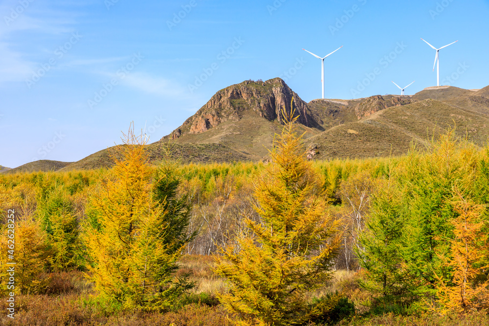 美丽多彩的秋色森林和山景。