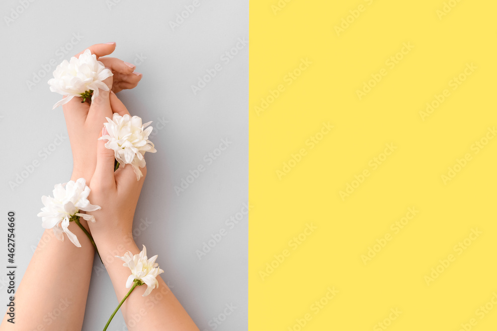 Female hands with beautiful fresh flowers on color background