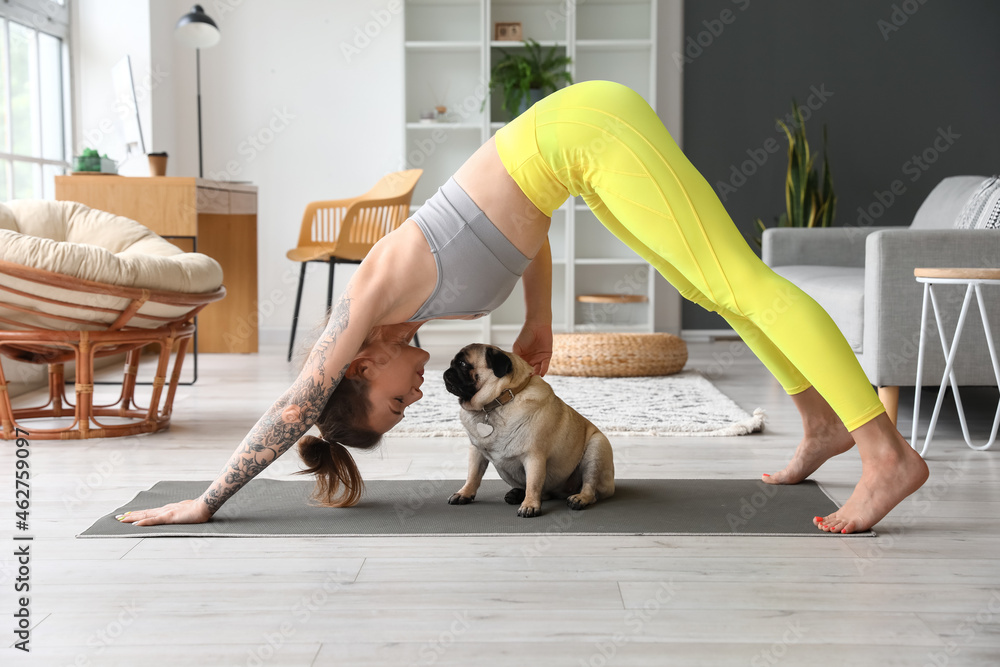 Young woman with cute pug dog practicing yoga at home