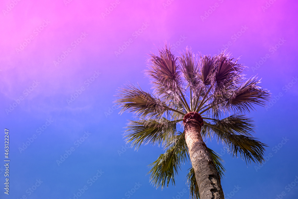 palm tree in neon lights