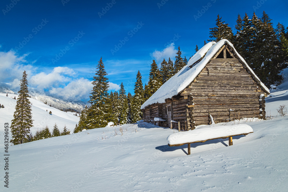 美丽的白雪覆盖的风景，有松林和木屋