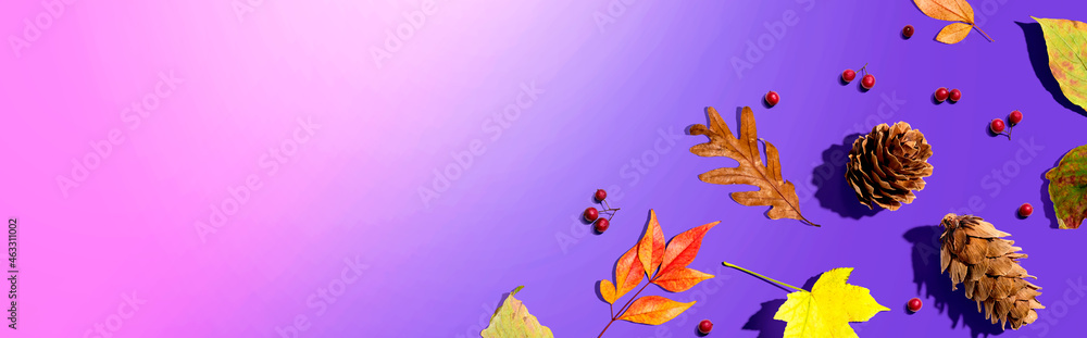 Colorful autumn leaves with pinecones overhead view - flat lay