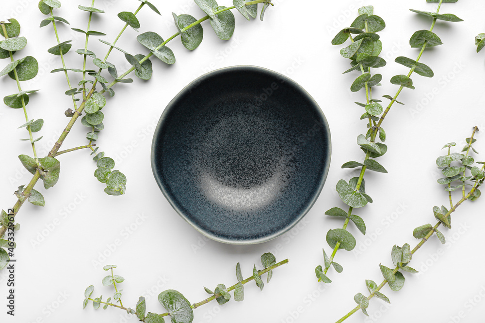 Empty bowl and fresh eucalyptus branches on white background, closeup