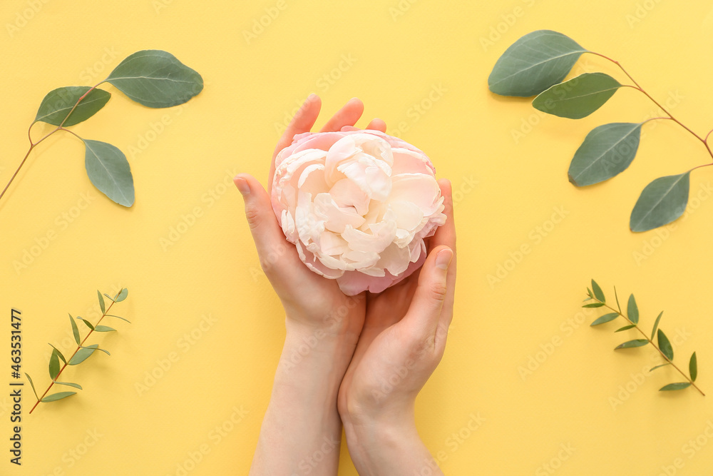 Female hands with flower on color background