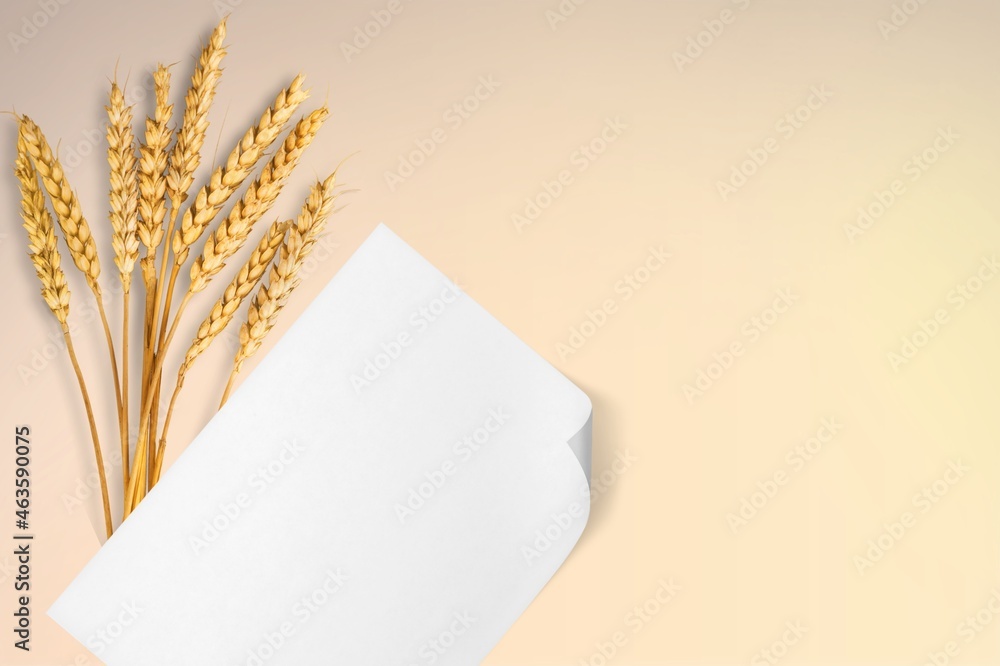 White paper empty blank card, dried grass decoration