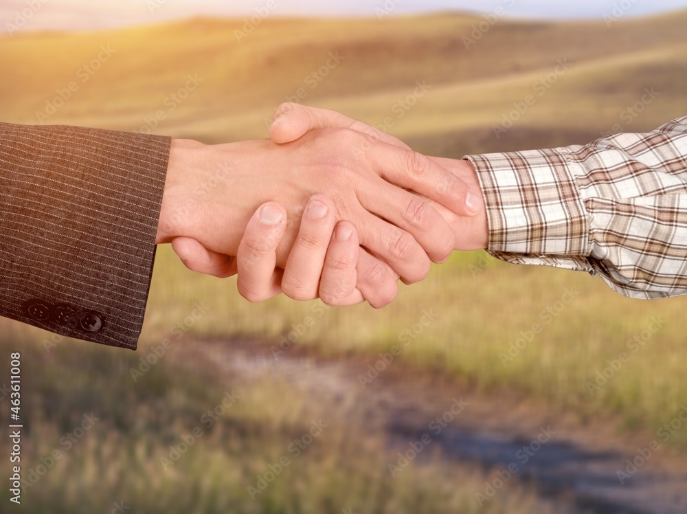 Male ranchers handshake in walnut orchard